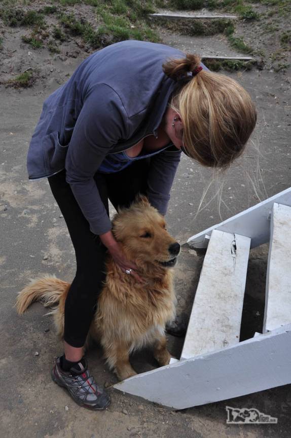 Encontro e brincadeiras com um simpático cão em Villa Traful, no Parque Nacional Nahuel Huapi, na Argentina